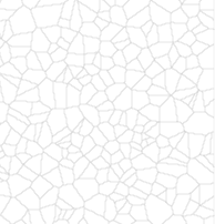 ShakeMap Intensity Thumbnail